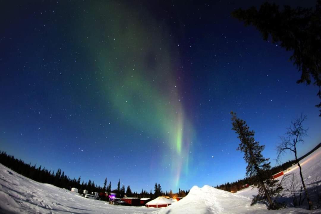 Camp Alta Kiruna Zewnętrze zdjęcie